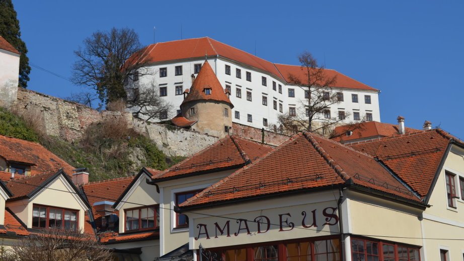 Ptuj castle from Presernova street