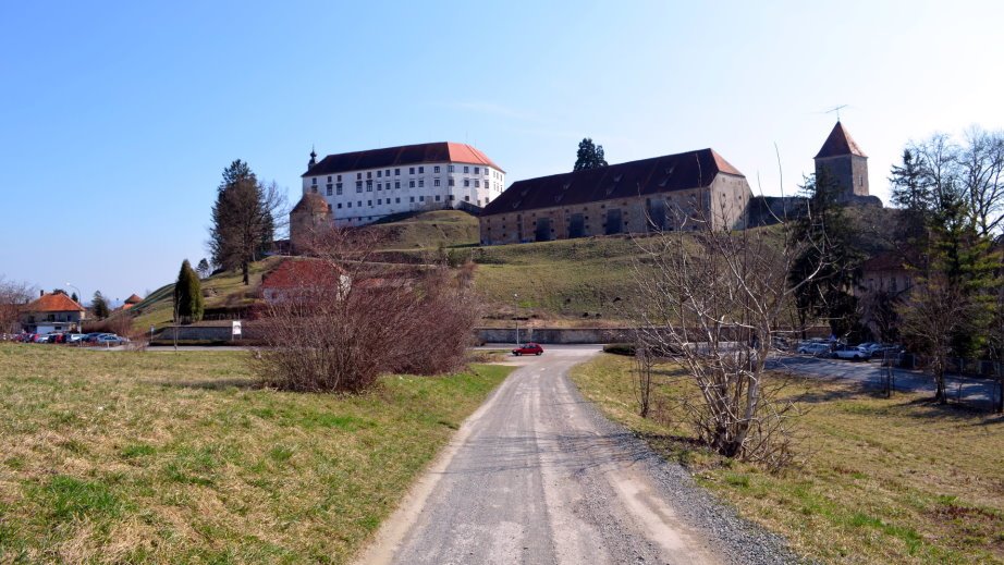 Ptuj castle from Panorama