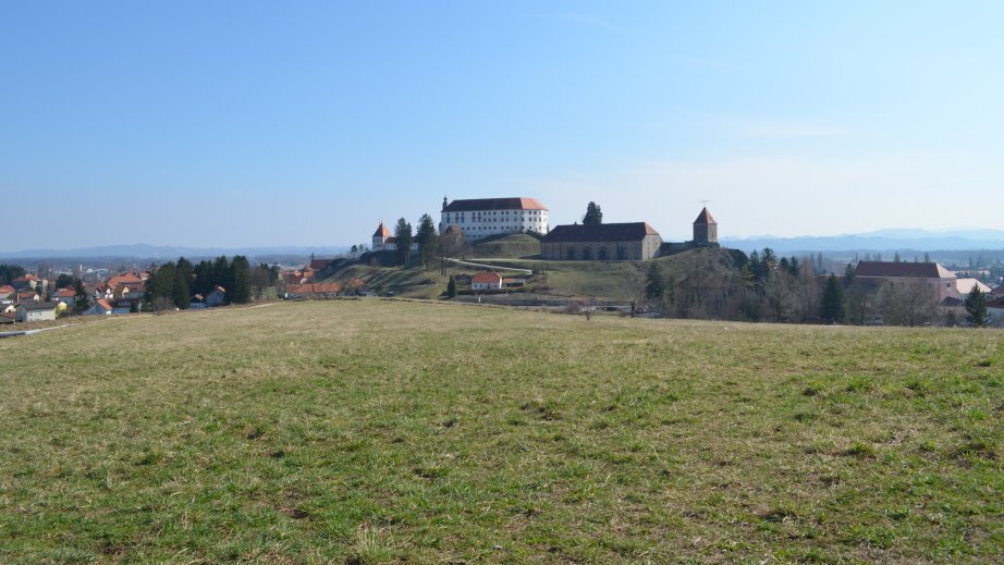 Ptuj castle from Panorama (2)