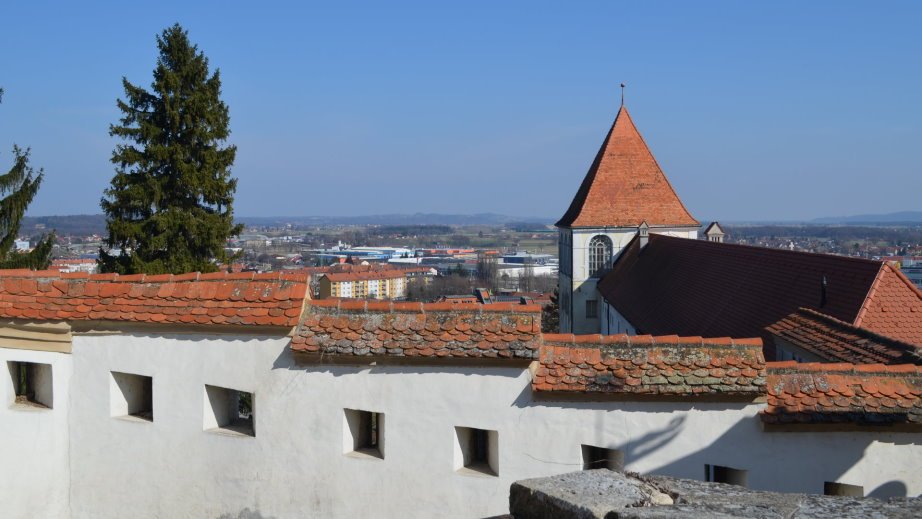 View from Ptuj Castle (5)