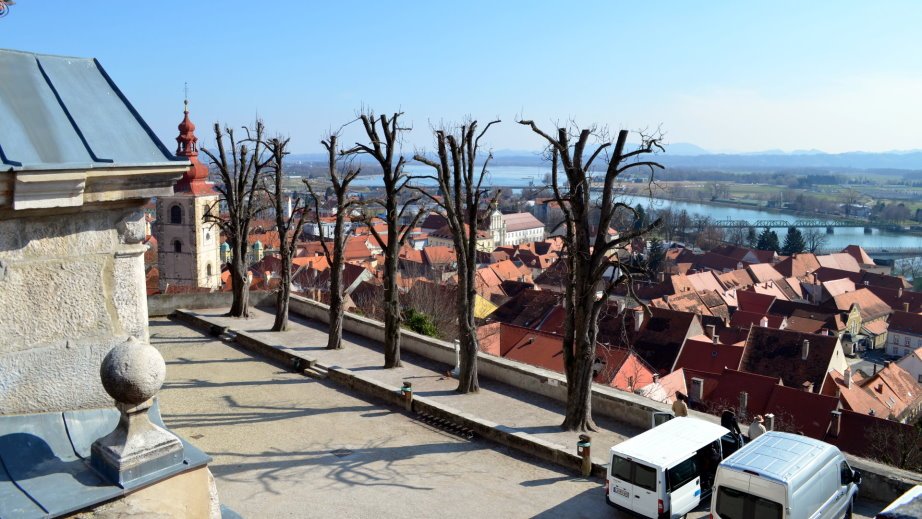 View from Ptuj Castle (6)