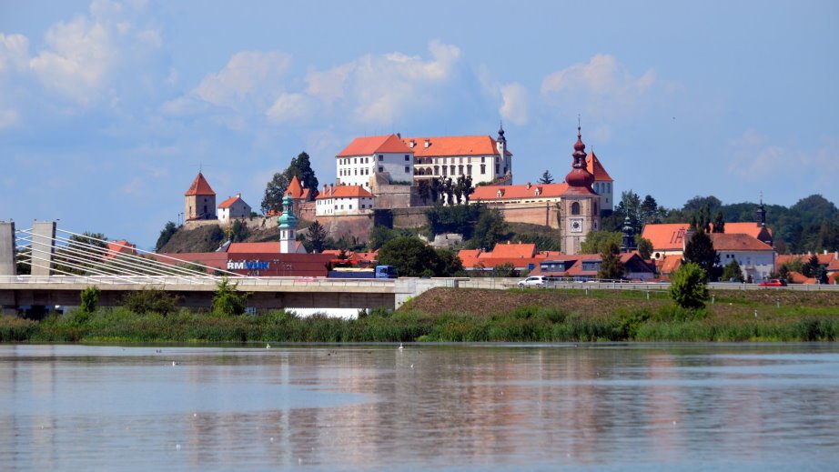 Ptuj Castle from a distance (2)