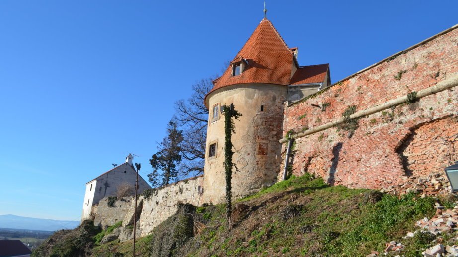 Under the Ptuj castle