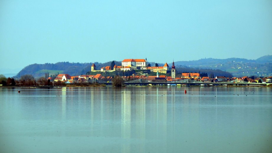Ptuj photographed over the lake