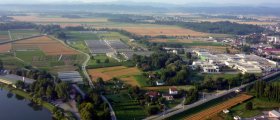 Ptuj surrounding from the air
