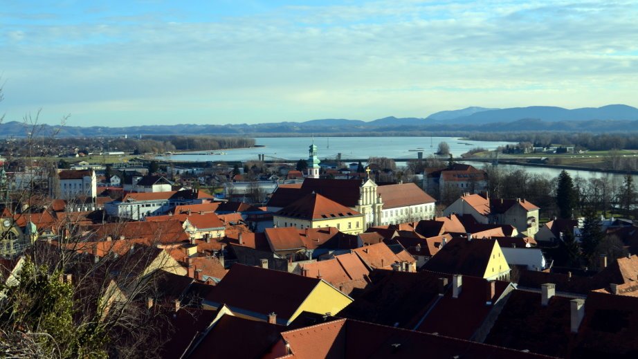View of Ptuj (3)